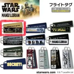 STAR WARS THE MANDALORIAN フライトタグのサムネイル