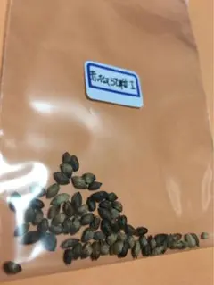 Alex Uemoto様 リクエスト 4点 まとめ商品
