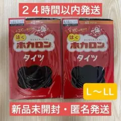 【即日発送】L〜LLサイズ ホカロン タイツ 60デニール ブラック アツギ