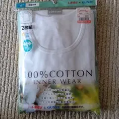 Item thumbnail for item 7218f8f4-1de8-4664-a20f-21b7e9f0b76b