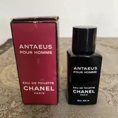 2025年最新】シャネル アンテウス 100 未使用の人気アイテム - メルカリ