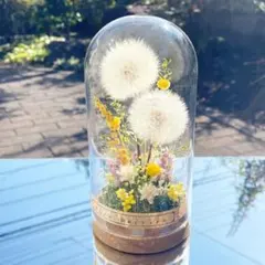 タンポポ　ボトルフラワー　《たんぽぽ　フラワーボトル》 ガラスドーム