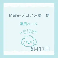 Mare▹プロフ必読様専用ページ