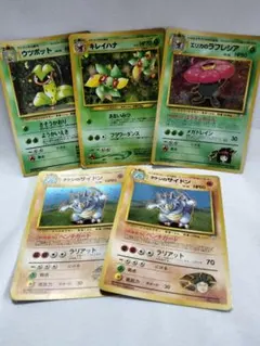 旧裏面 エリカのラフレシア キレイハナ ポケモンカード ポケカ 初代 まとめ売りのサムネイル