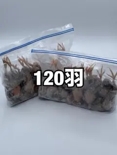 冷凍ウズラ5kg×4段【送料込】 冷凍ウズラ5kg×4段 | BASE by - 2026年最新冷凍ウズラの人気