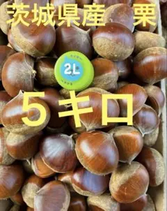 全て4cm-4.5cmの3Lサイズ 栗 5kg 岐阜 恵那地方 - メルカリ