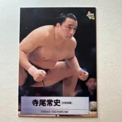 BBM 2015 大相撲 至宝　寺尾常史　直筆サインカード　/90 BBM 2015 大相撲 至宝 寺尾常史 直筆サインカード /90 - メルカリ