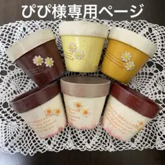 ぴぴ様専用　リメイク素焼き鉢　6個