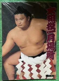 Item thumbnail for item 512176da-92a0-472b-8e80-bc8abff9a9f8