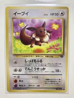 イーブイ ● 第2弾拡張パック ポケモンジャングル