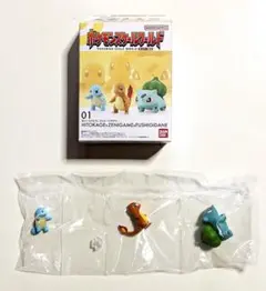 ポケモンスケールワールド カントー地方 ヒトカゲ ゼニガメ フシギダネ 01