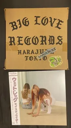 Wet Leg - Moisturizer BIG LOVE RECORDS盤