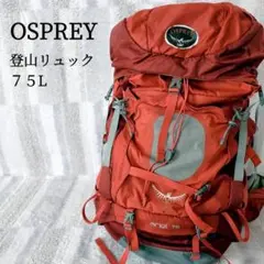 POST O'ALLS EAGLE USA リュック オリーブグリーン POST O'ALLS EAGLE USA リュック オリーブグリーン - メルカリ