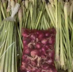 お得セット生レモングラス300g約+生ホムデン200g約お得セット。