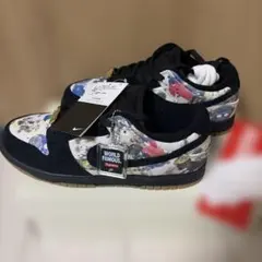 Supreme/Nike SB Rammellzee Dunk Low 26.0