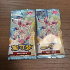 宝可梦 未開封 2パック
