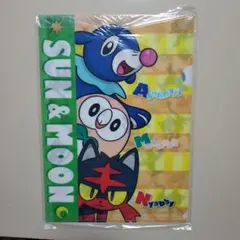 2013年製☆レア】ポケモンセンター ホウエン御三家クリアファイル 3