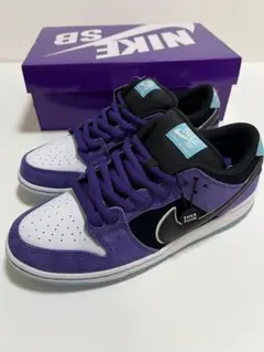 Hayley Wilson Nike SB Dunk Low ヘイリー 28