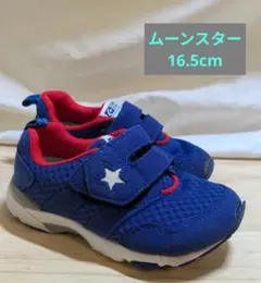 ムーンスター　16.5cm B