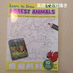Learn to Draw FOREST ANIMALS 英語絵本