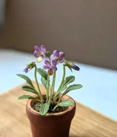 ミニチュアフラワー　紫色のビオラ