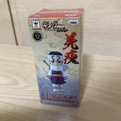 キングダム ワールドコレクタブルフィギュア vol.3 羌瘣　新品