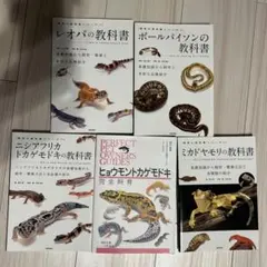 2026年最新】爬虫類飼育セットの人気アイテム - メルカリ
