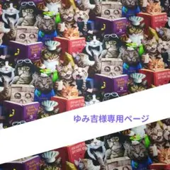 ゆみ吉様専用ページ