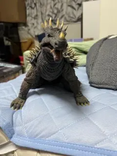 gray_turtle COPIAPOA 羅本製所 OZWRT - メルカリ