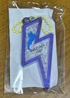 フェストイナズマ 2026 びわこキーホルダー 紫
