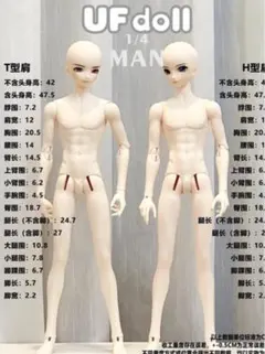 UFDOLL 1/4 Man Body 蜜桃　H型　ボディのみ