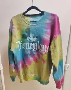 【SALE】WALT Disney World トレーナー