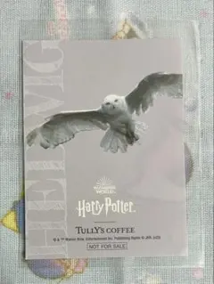ハリーポッター タリーズ ステッカー ヘドウィグ