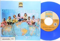 未使用品 レコード　FNCY 9M88　SATURDAYS VIBRATIONS