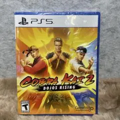 PS5 Cobra Kai 2: Dojos Rising (輸入版:北米)
