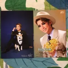 Item thumbnail for item 85fbed2c-0a87-47be-affe-8011b0a53e7e