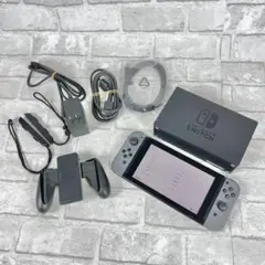 Nintendo Switch 本体 グレー 付属品付