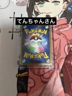 てんちゃん様専用