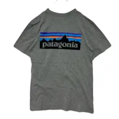 patagonia P-6ロゴ バックロゴ Tシャツ XS グレー ユニ