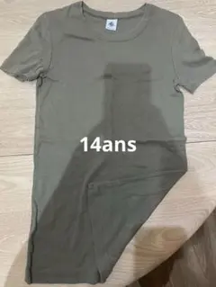 Item thumbnail for item 8c1f4d0a-4eb6-4a4c-b33d-ad4036633dca