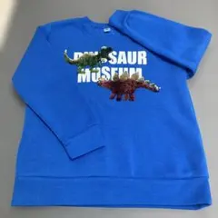 【価格変更】【未使用】スパンコール 恐竜 裏起毛 トレーナー 120