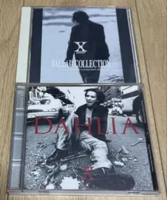 x japan dahlia