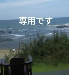 専用です