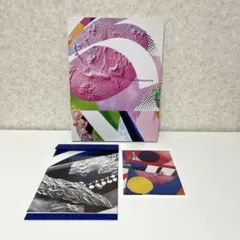 ニューヨーク近代美術館 開館90周年記念 作品集「MoMA Now」2019