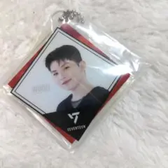 SEVENTEEN アクリル チャーム ガチャ ウジ