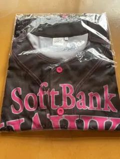 Item thumbnail for item 93792ccb-846f-4cfa-8065-7c33d0e4f5a4