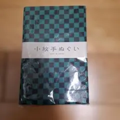 Item thumbnail for item 1e1cde91-cd6e-411b-9811-e8c082f0d519