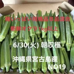 【朝採れ新鮮 規格品、Ｂ品混合 沖縄県宮古島産オクラ1kg】のサムネイル