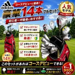c73 初心者歓迎 ブリヂストン 等メンズゴルフクラブ13本セット