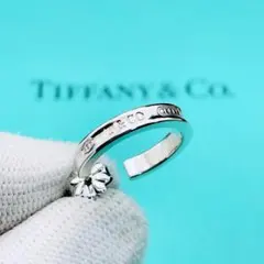 Tiffany】1837TMフープピアス(片耳) - メルカリ